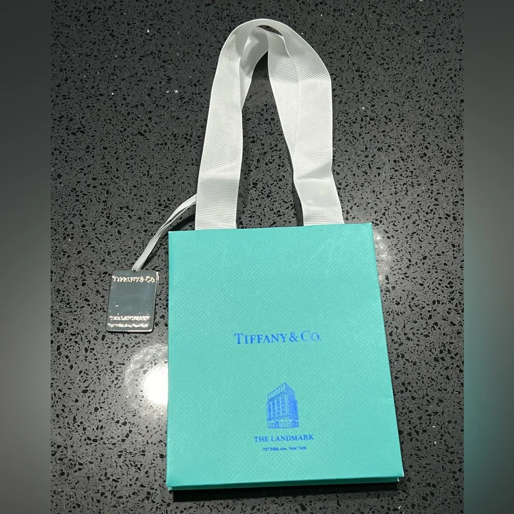 Tiffany & Co. Blue Gift Bag
